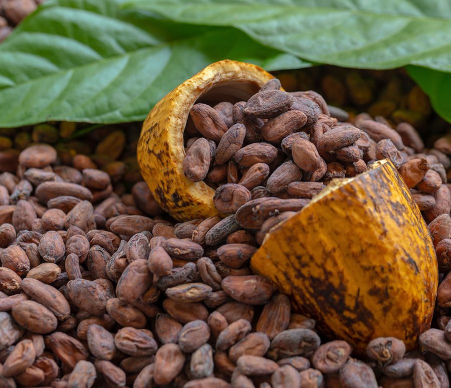 cocoa-beans-and-cocoa-fruits-on-wooden